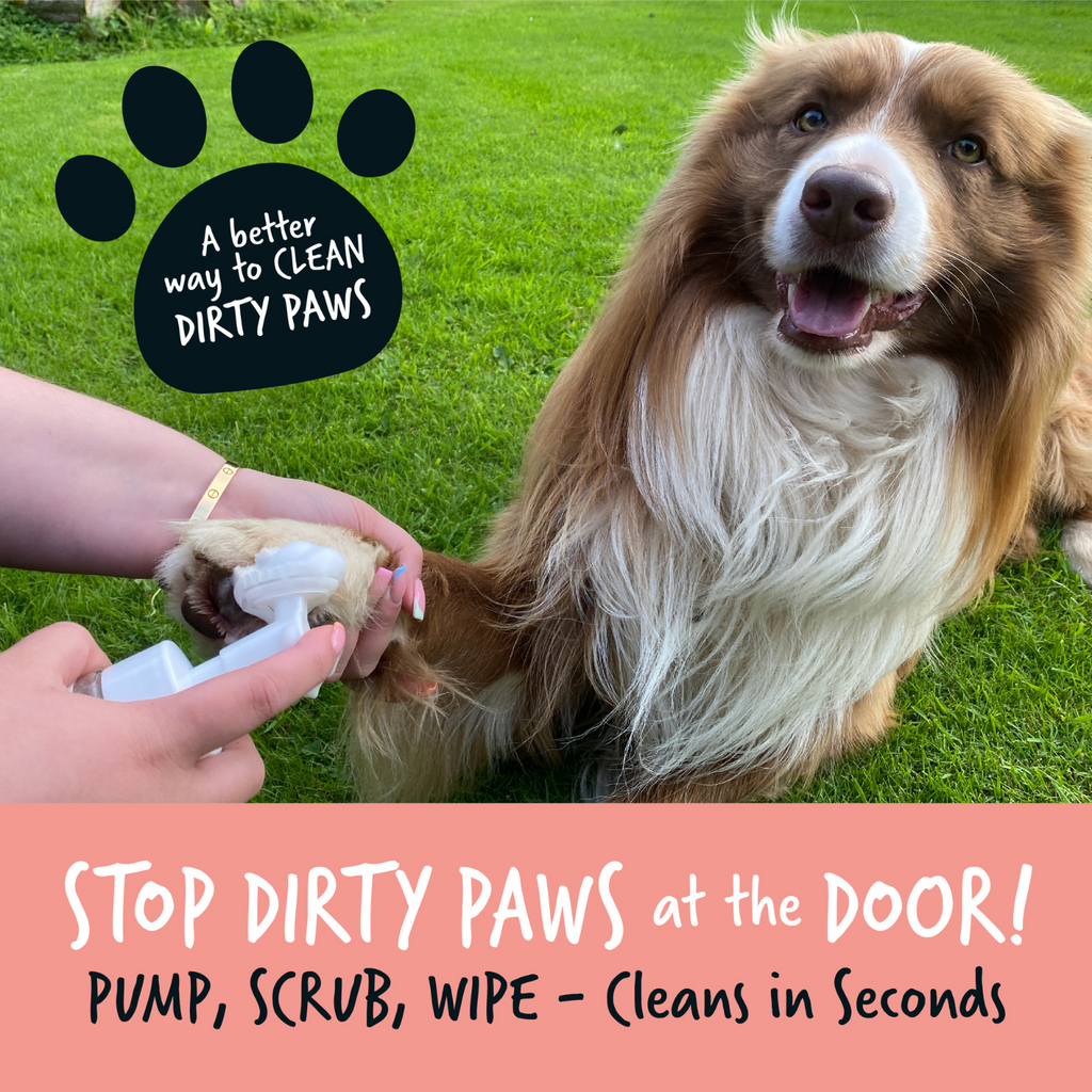 Paw Cleaner product image 4