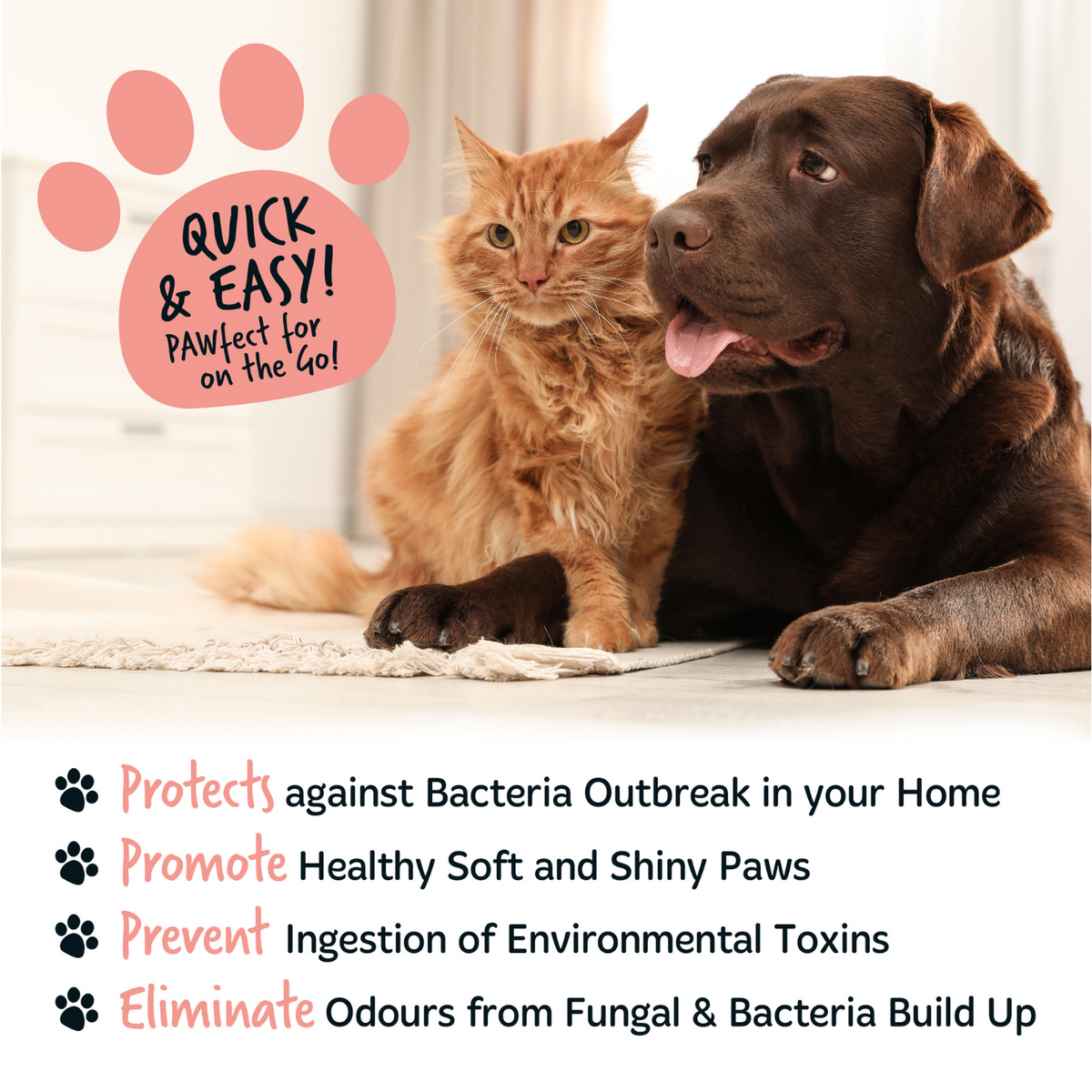 Paw Cleaner product image 6