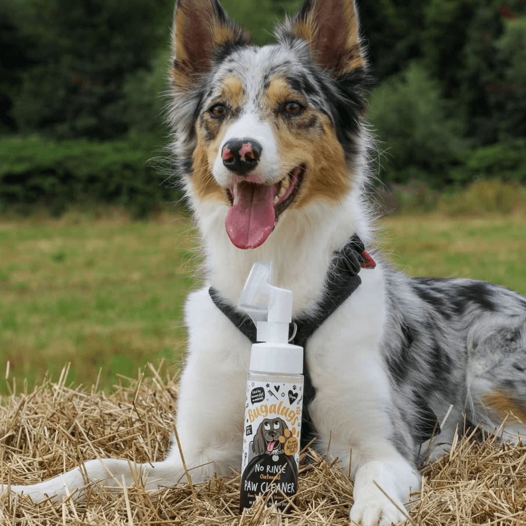 Pet Paw Cleaner product image 2