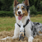Pet Paw Cleaner product image 2