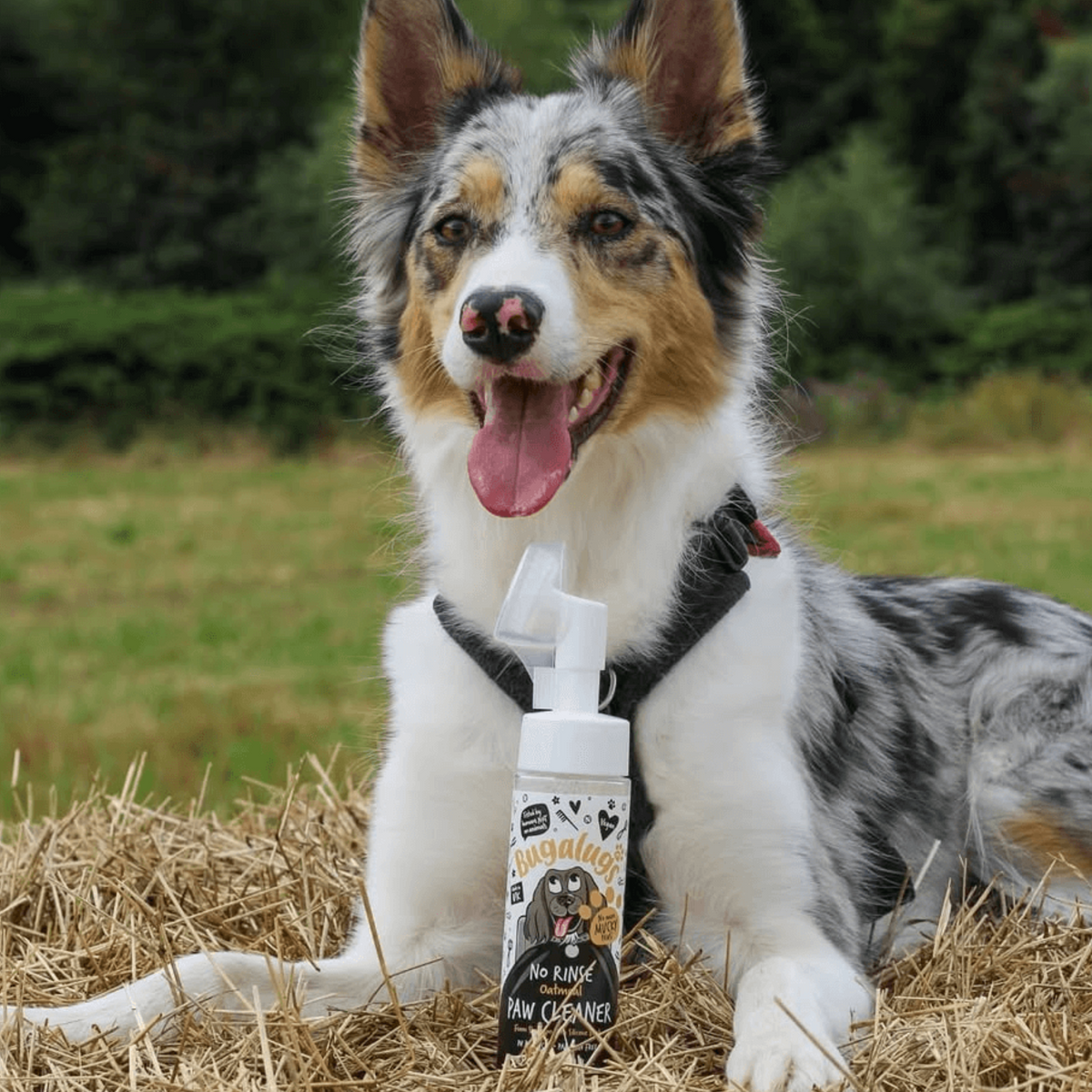 Pet Paw Cleaner product image 2