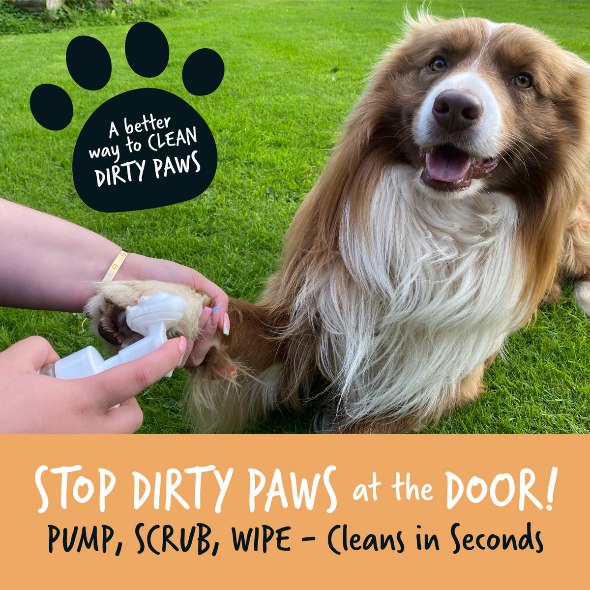 Pet Paw Cleaner product image 4
