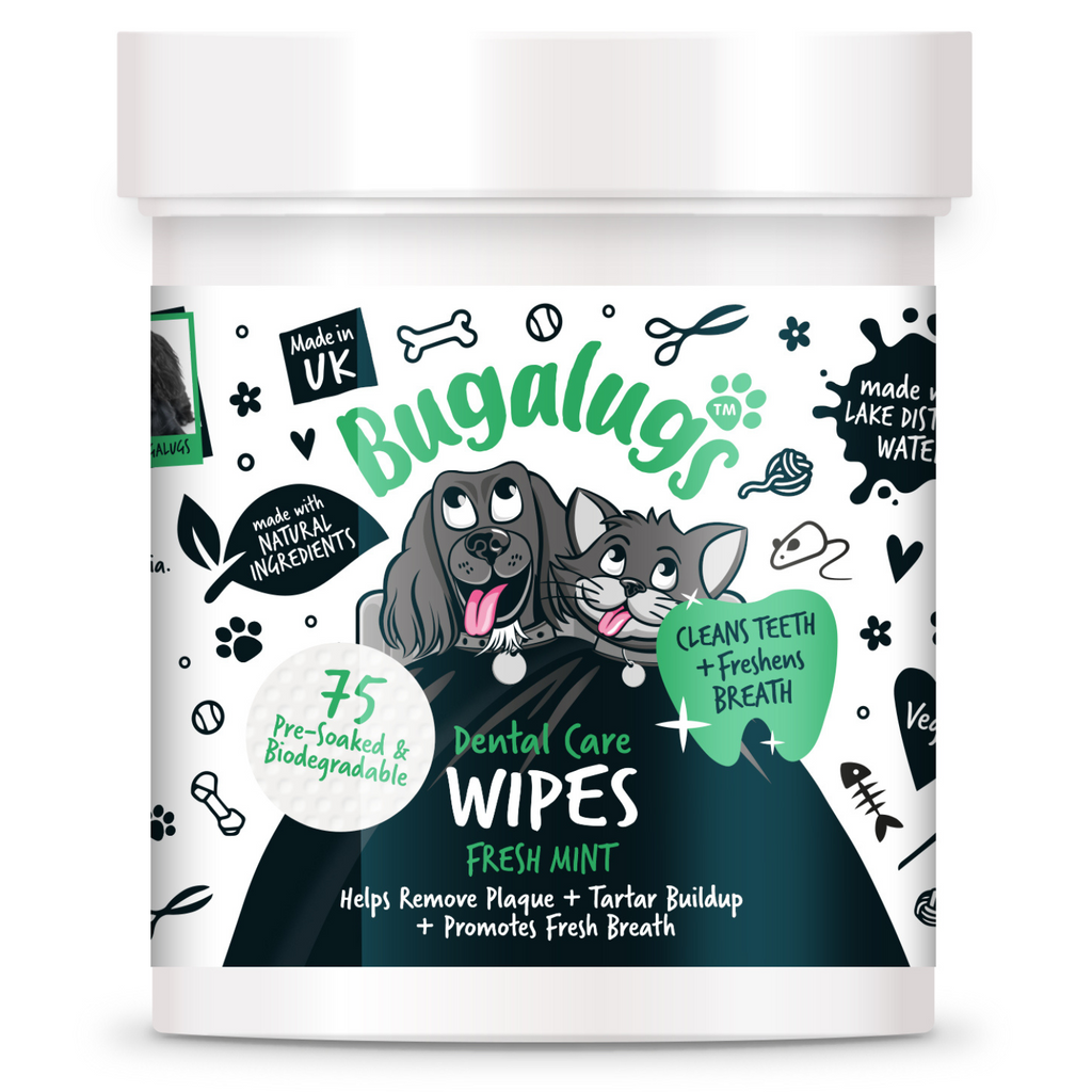 Dental Wipes product image 1