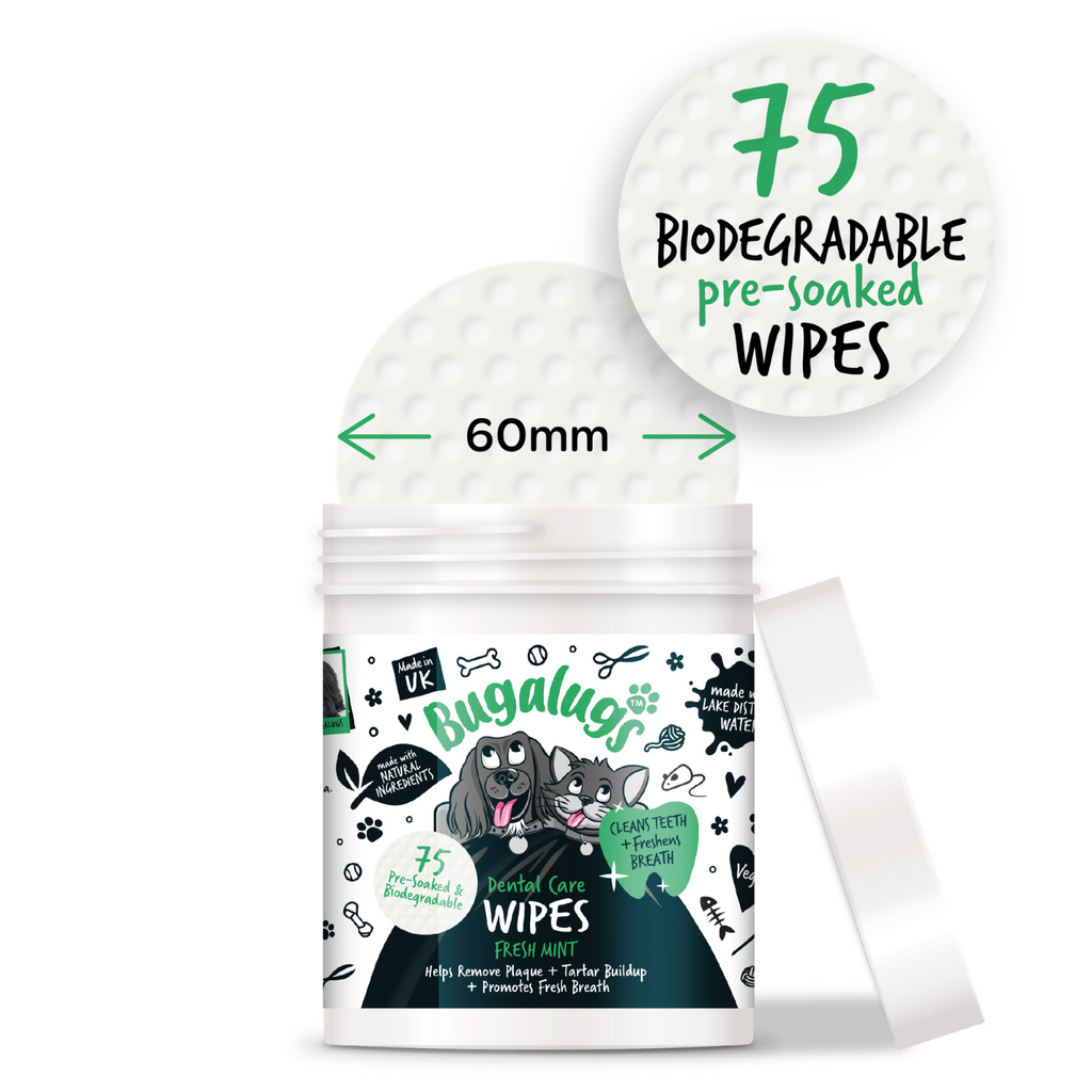 Dental Wipes product image 2