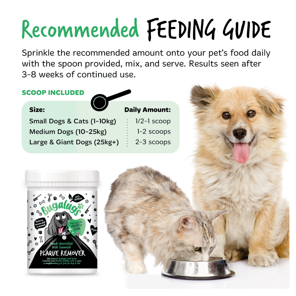Pet Dental Powder product image 4