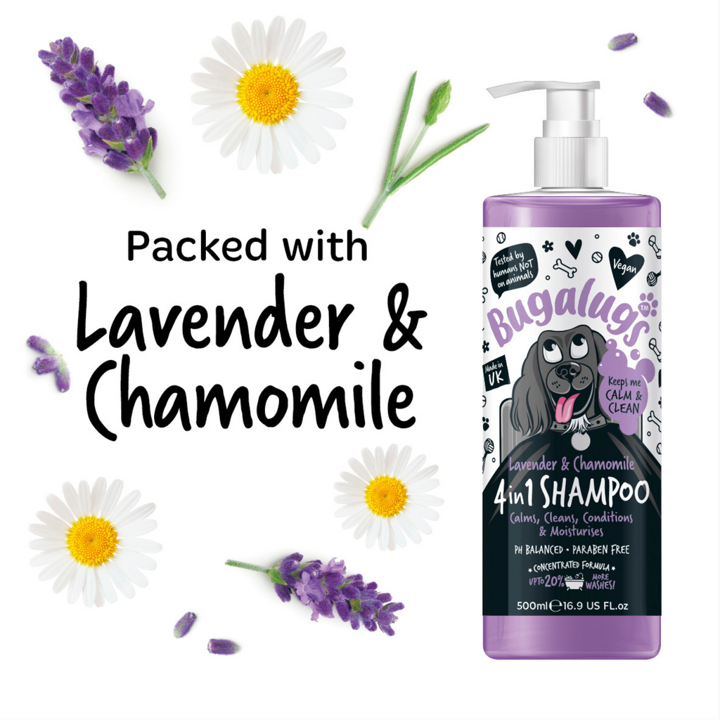 Dog Shampoo product image 5