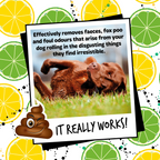 Dog Shampoo product image 8