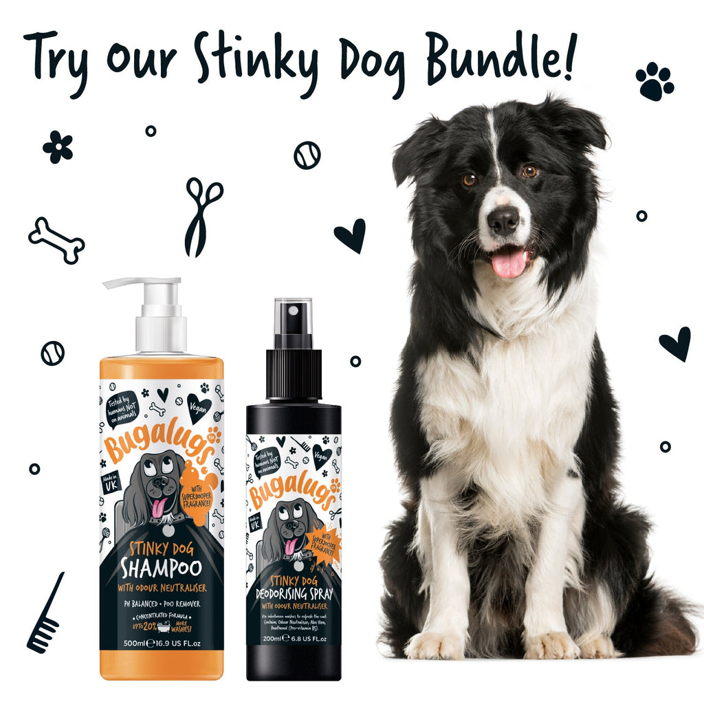 Dog Shampoo product image 12