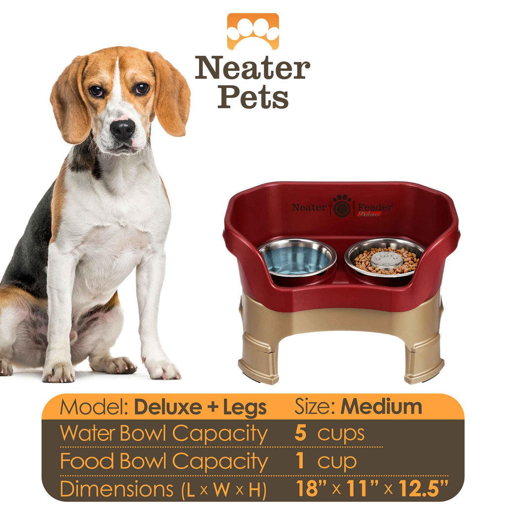 Elevated Slow Feeder Station for Dogs, Stainless Steel Bowl Set and Spill-Catching Basin in Three Sizes source image 112