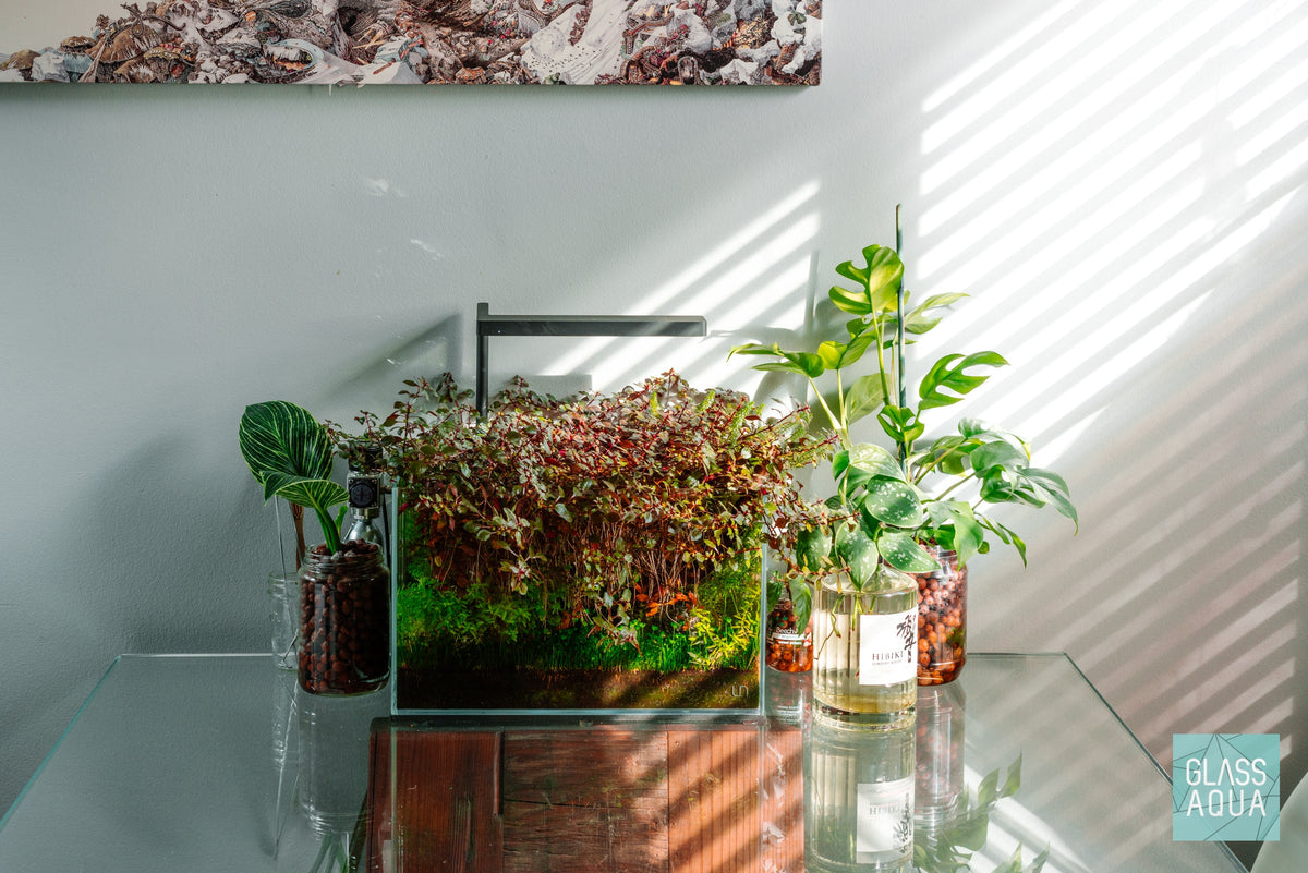 Rimless Aquarium Tank product image 3