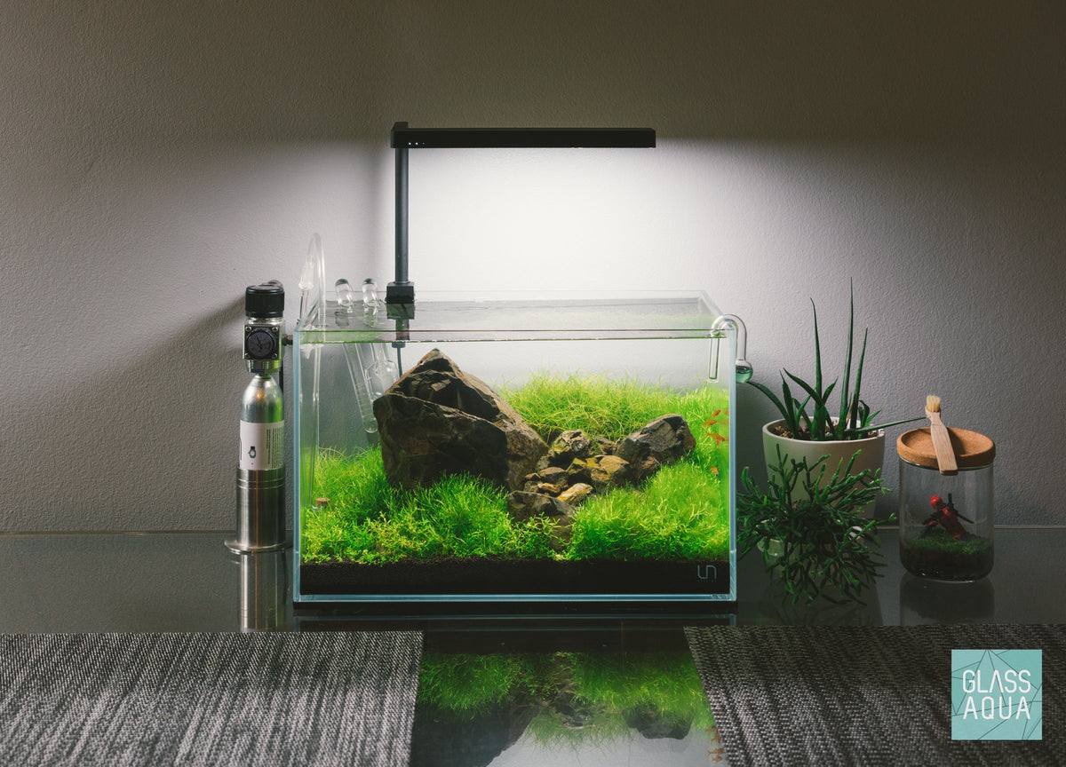 Rimless Aquarium Tank product image 4