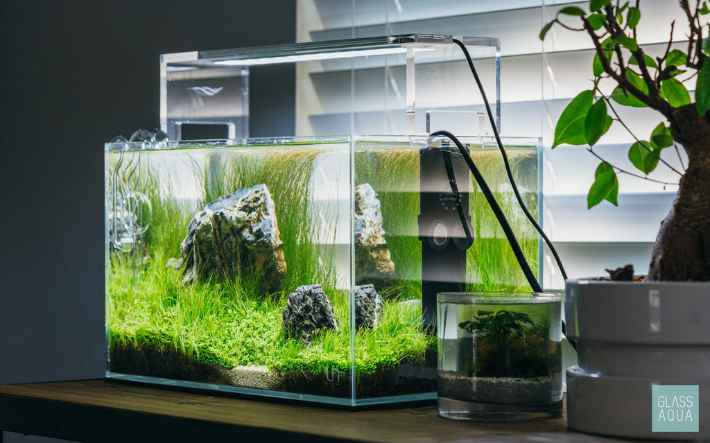 Rimless Aquarium Tank product image 5