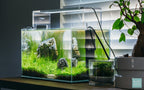 Rimless Aquarium Tank product image 5