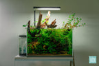 Rimless Aquarium Tank product image 6