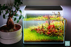 Rimless Aquarium Tank product image 7