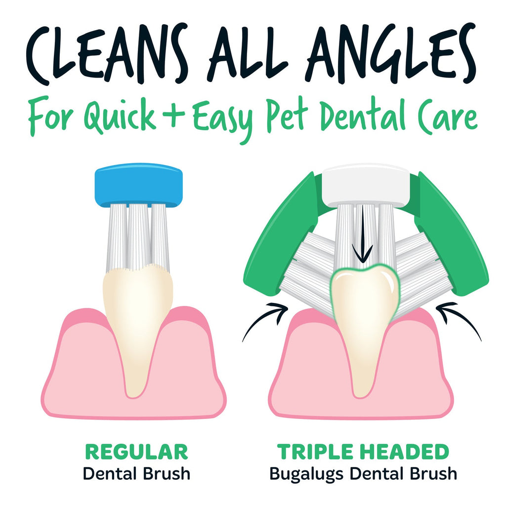 Pet Toothbrush product image 3