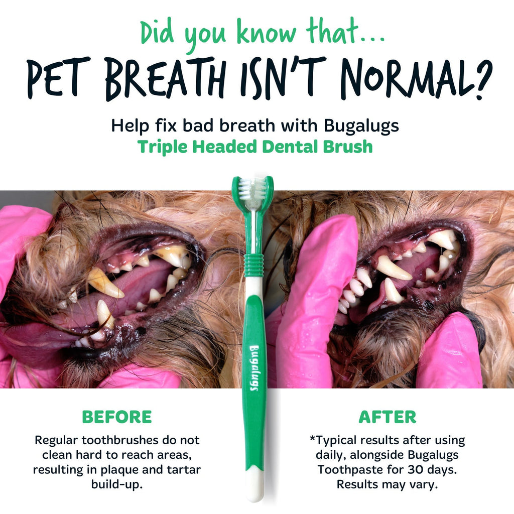 Pet Toothbrush product image 4