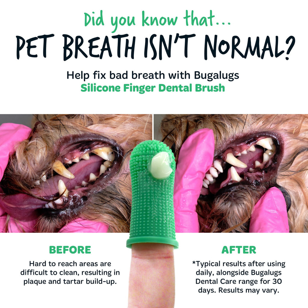 Pet Finger Toothbrush product image 5