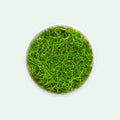Aquarium Plant product image 1