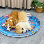 Water-Filled Dog Cooling Bed product image 11