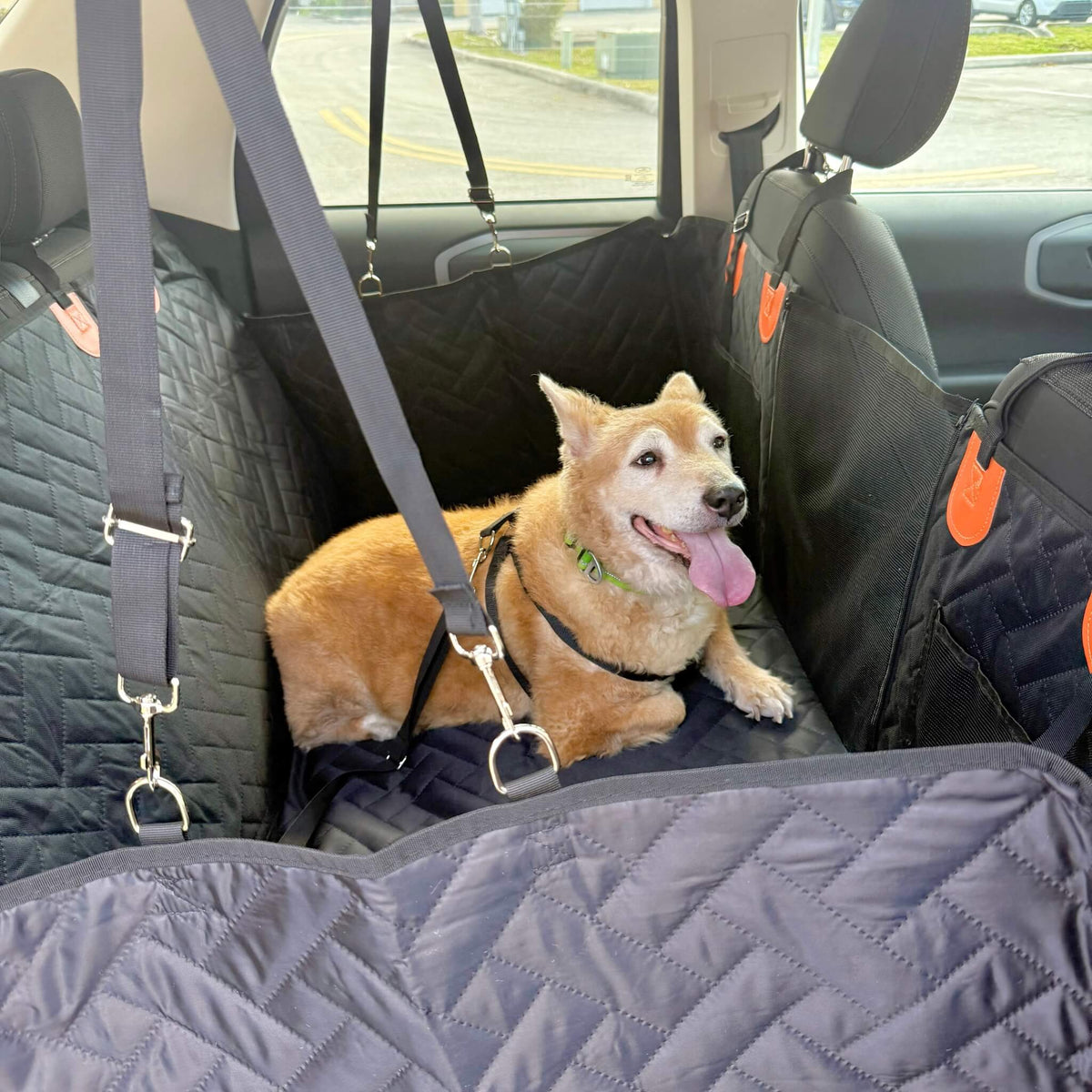 Dog Seat Cover product image 7