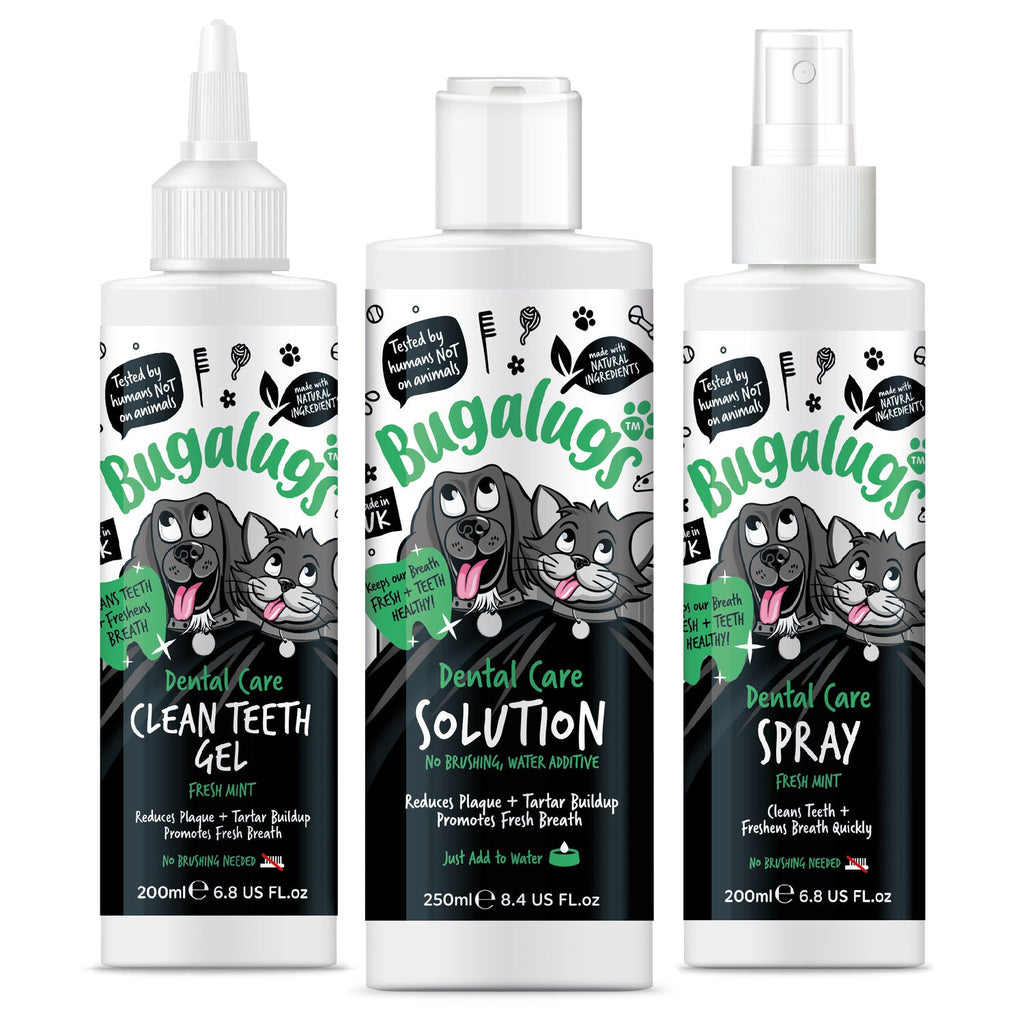 Pet Dental Kit product image 2