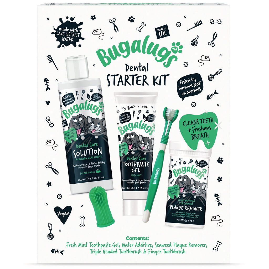 Dental Starter Kit product image 1