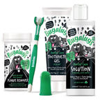Dental Starter Kit product image 2