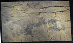 Aquarium Background product image 5