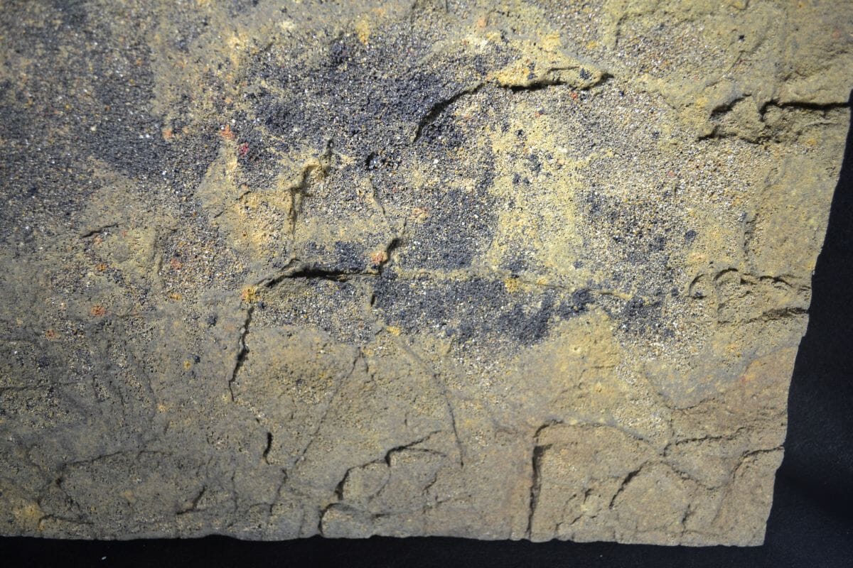 Aquarium Background product image 6