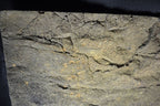Aquarium Background product image 7