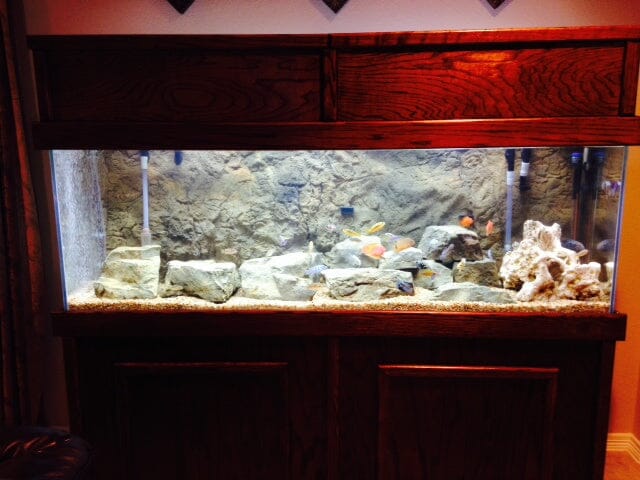 Aquarium Background product image 9