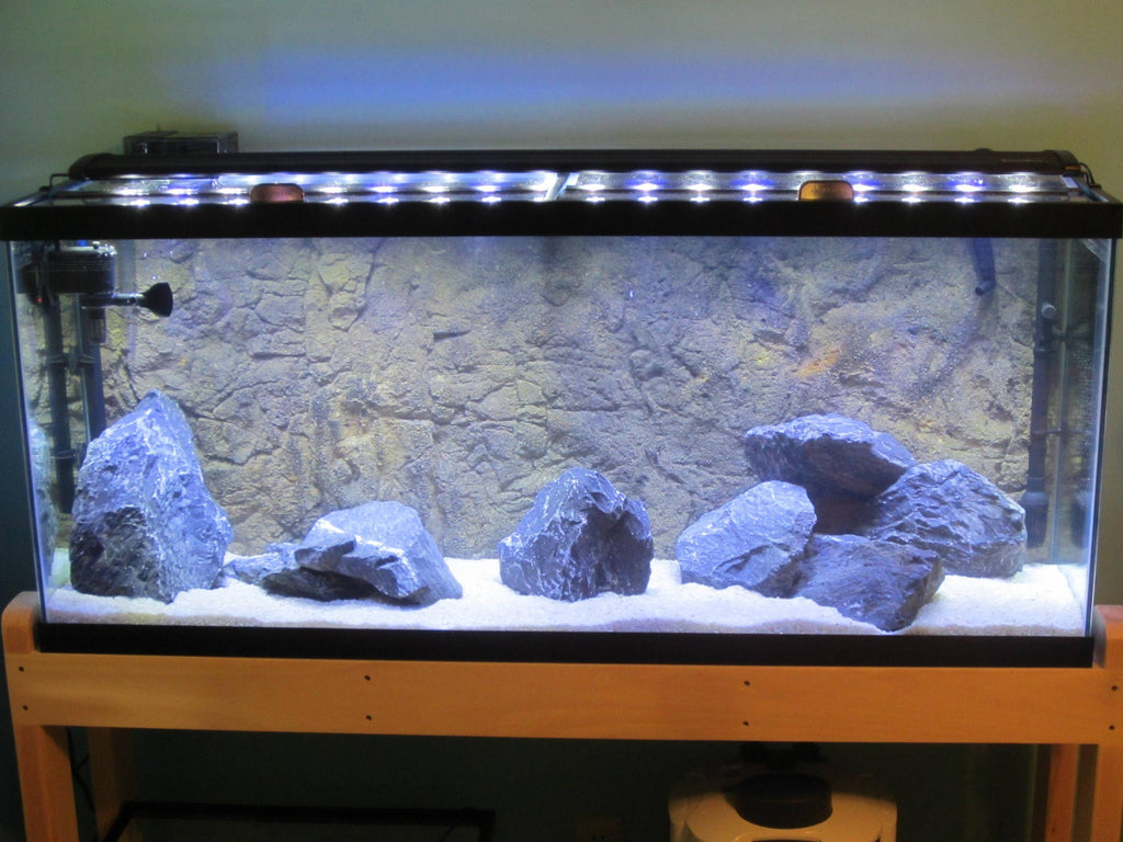 Aquarium Background product image 10