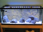 Aquarium Background product image 10