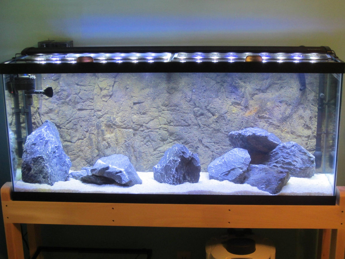 Aquarium Background product image 10