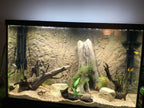 Aquarium Background product image 11