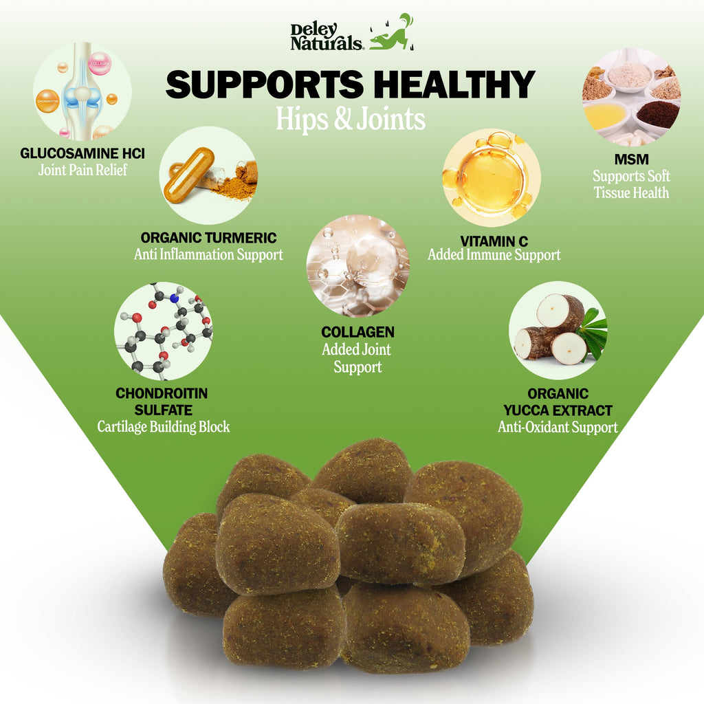 Dog Hip and Joint Supplement product image 2