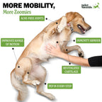 Dog Hip and Joint Supplement product image 3