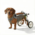 Dog Wheelchair product image 1