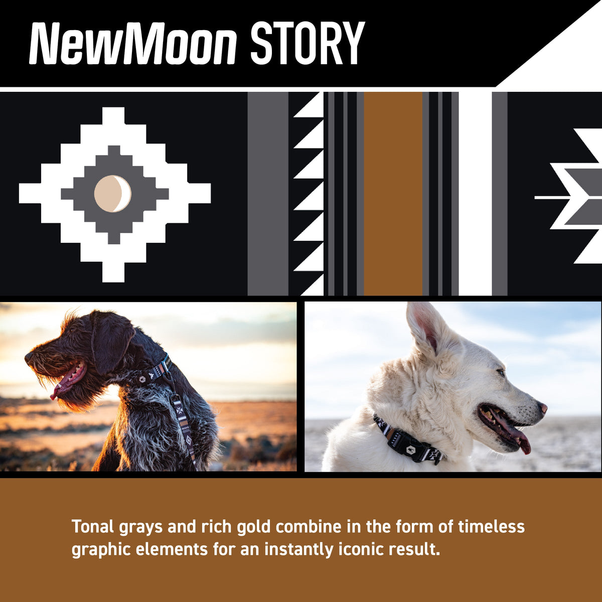 Dog Collar product image 2