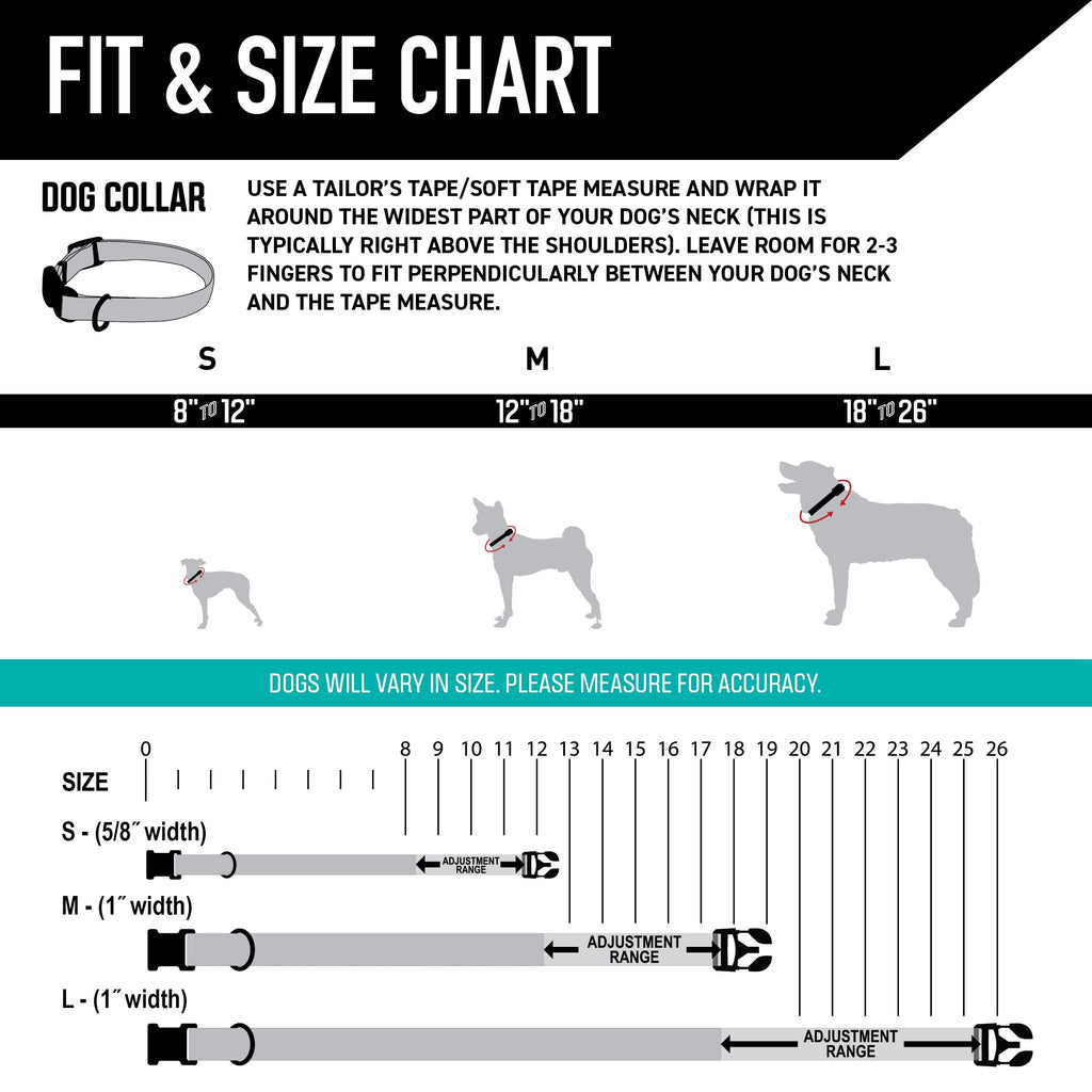 Dog Collar product image 4