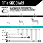 Dog Collar product image 4