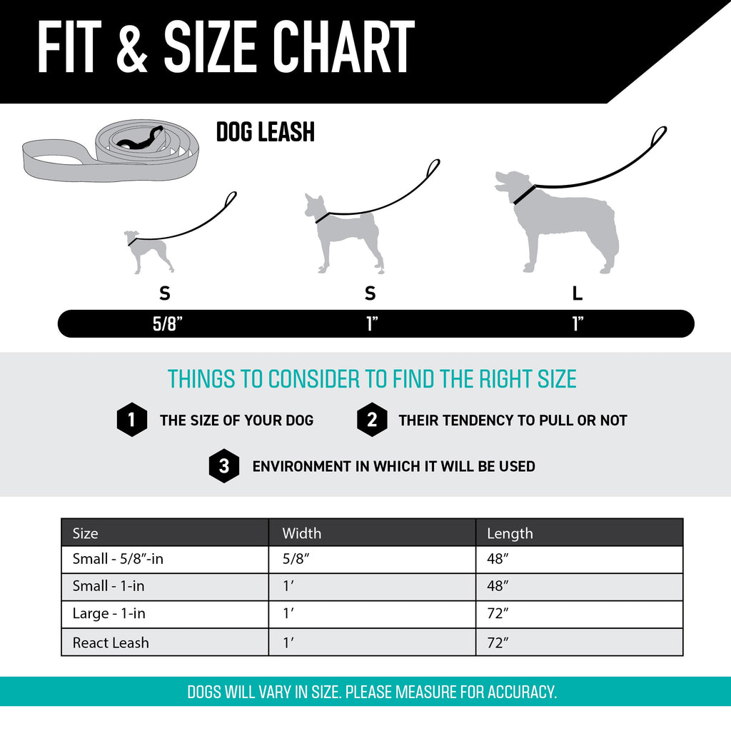 Dog Leash product image 4