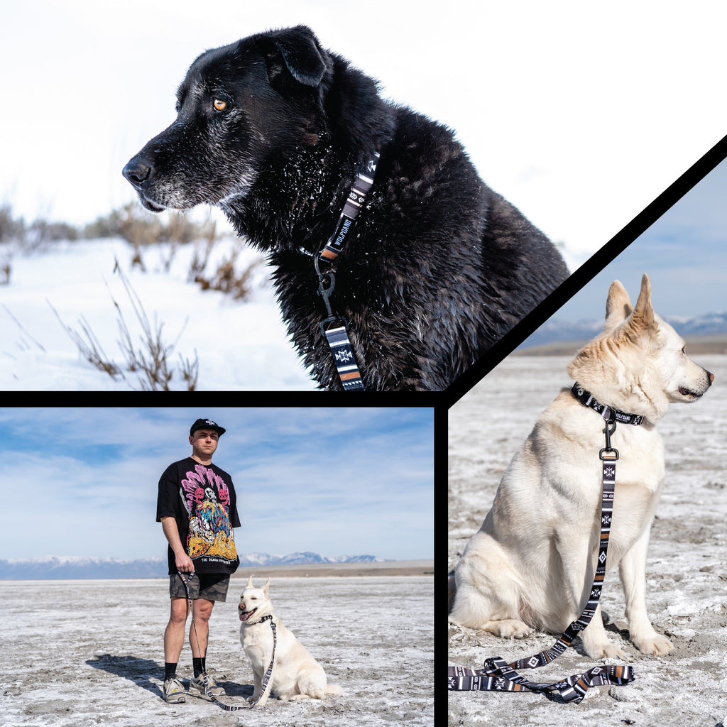 Dog Leash product image 6