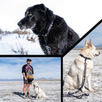 Dog Leash product image 6