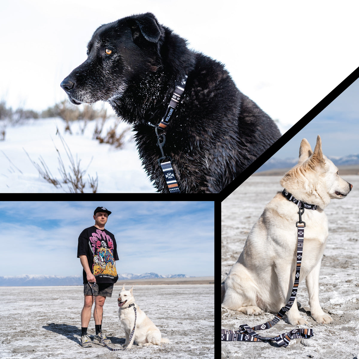 Dog Leash product image 6