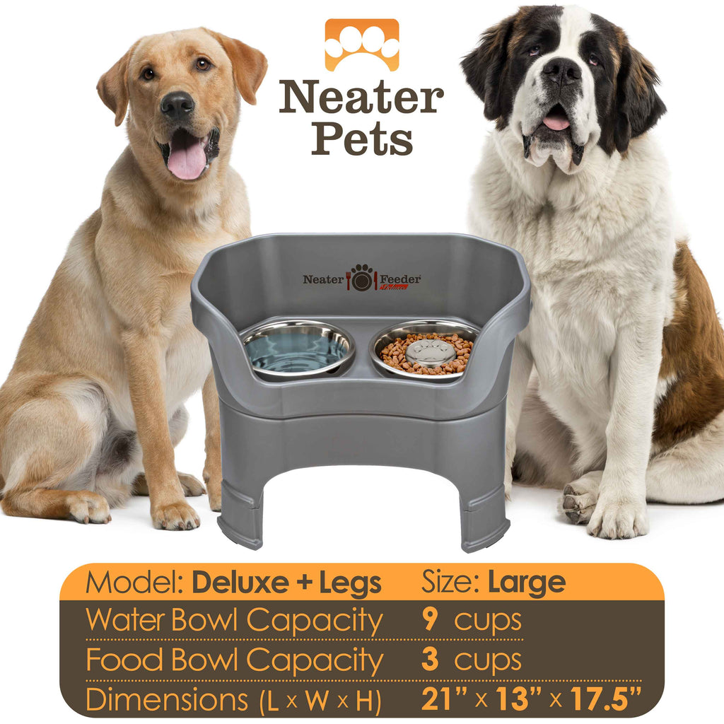 Elevated Slow Feeder Station for Dogs, Stainless Steel Bowl Set and Spill-Catching Basin in Three Sizes source image 115