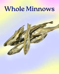 Freeze-Dried Minnow Treats product image 1