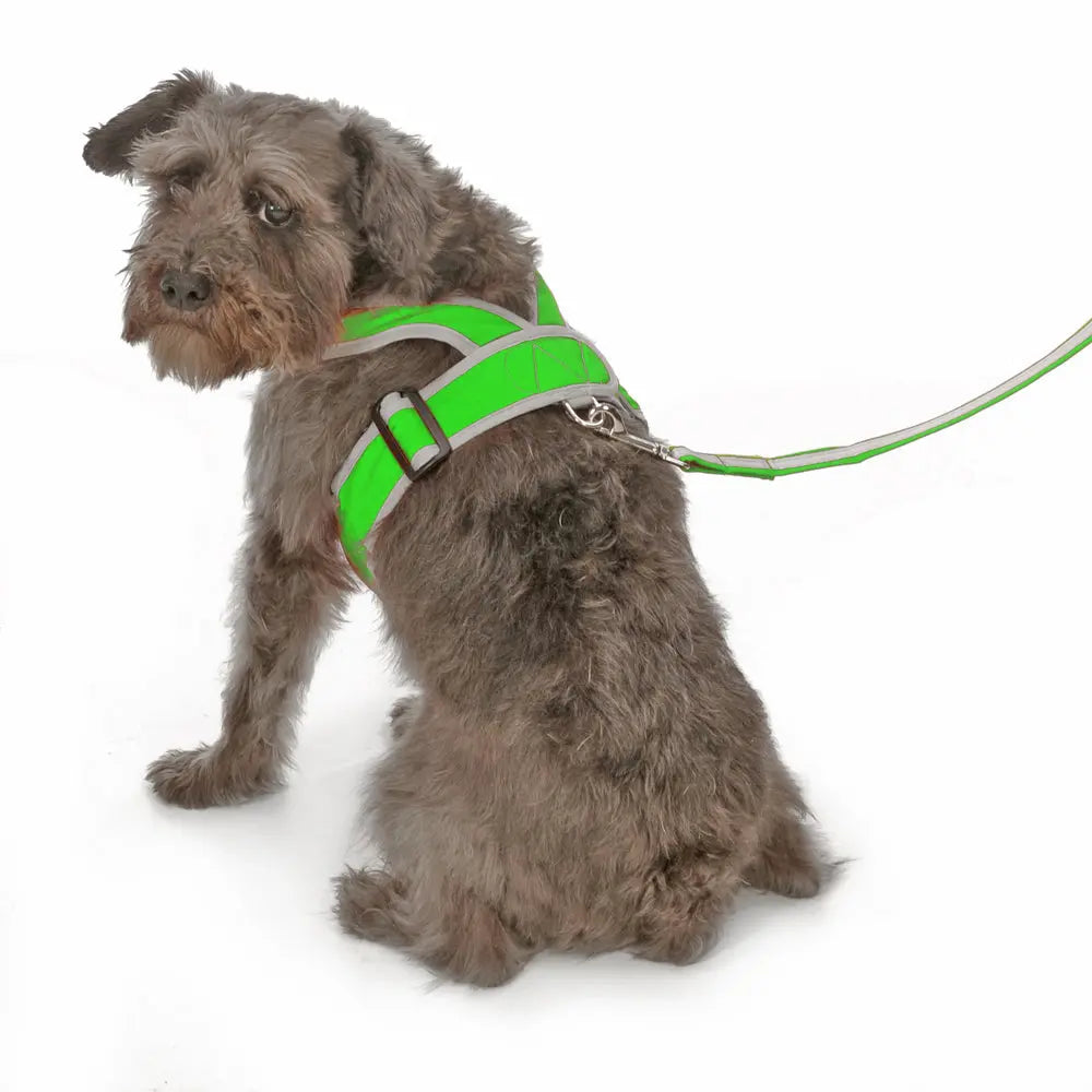 Step-In Dog Harness product image 17