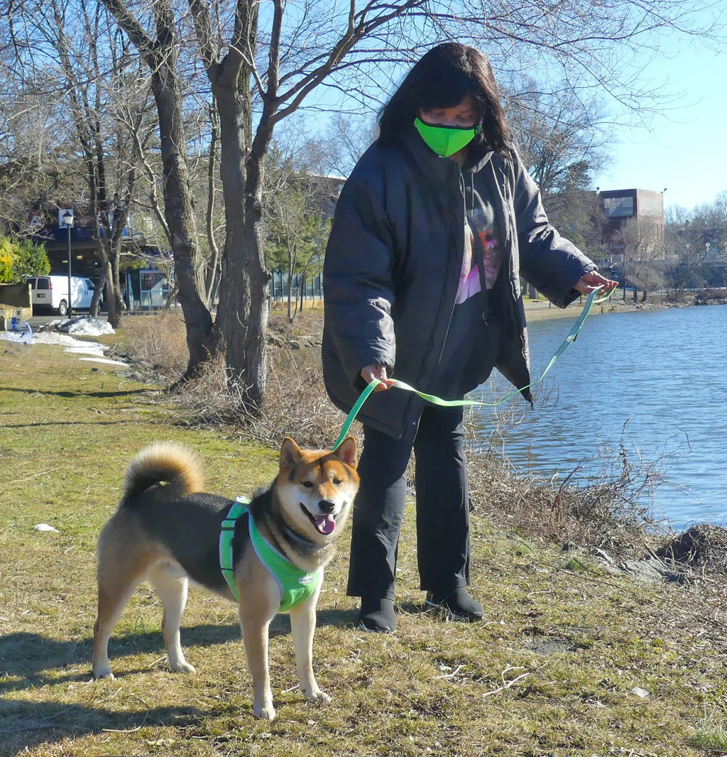 Step-In Dog Harness product image 18